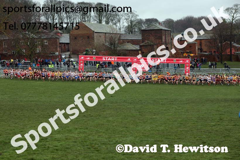 Intermediate boys 2019 New Balance English Schools Cross Country Champs, Temple Newsam, Leeds. Photo:  David T. Hewitson/Sports for All Pics